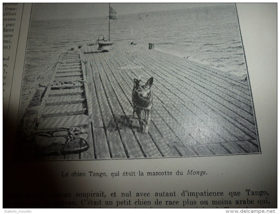 1917: USA;Espagne;Lieutenant Richard tué en Roumanie;Reims héroïque;Combat-torpilleurs;Le chien-mascotte TANGO du MONGE