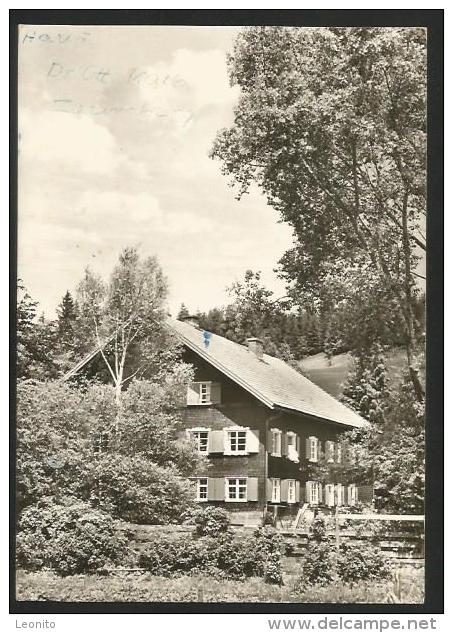 ZAUMBERG über Immenstadt Allgäu Bayern Schwaben 1964 - Immenstadt