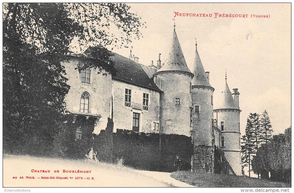 Neufchateau      88      Chateau De Bourlémont    ( Voir Scan) - Neufchateau