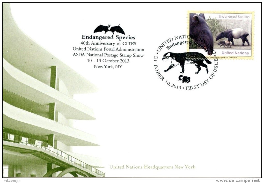 ONU New-York 2013 - Show Card ASDA 10-13 October 2013 - 40th Anniv. CITES - Tapir - Cartes-maximum