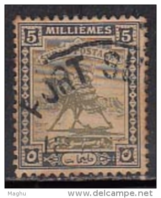 5m  Sudan Used 1948, Camel - Sudan (...-1951)