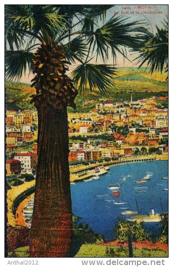 Monaco Monte Carlo Le Port Et La Condamine View From A Palm 8.6.1936 - La Condamine