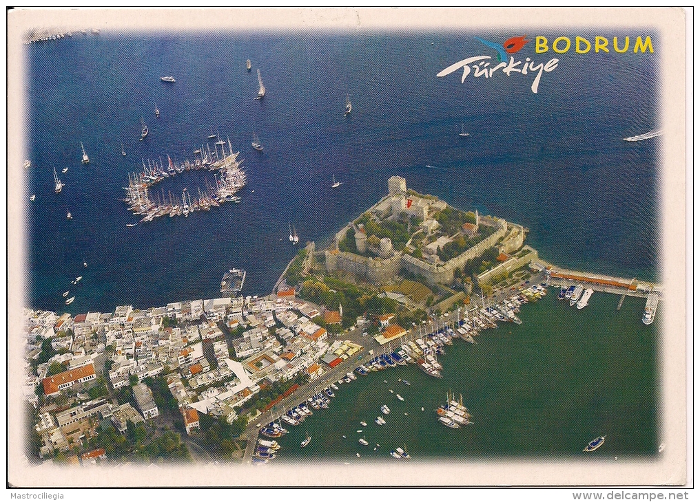 TURKIYE  Passer Domesticus  Postcard Bodrum - Sparrows