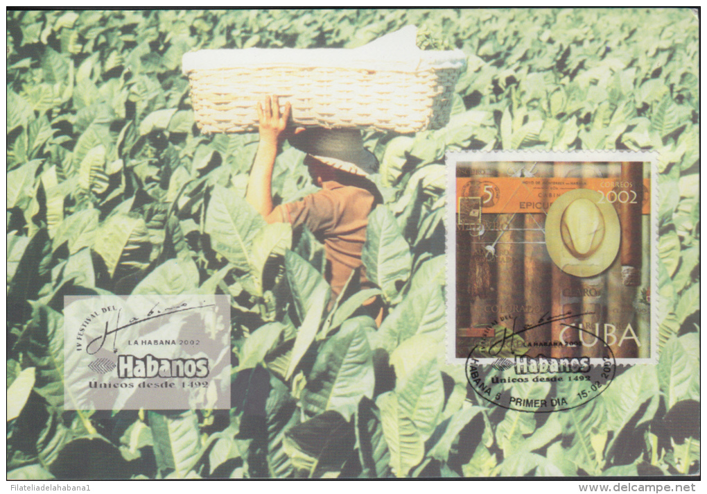 DPC.133  CUBA MAXIM CARD TOBACCO TARJETA MAXIMA DE TABACO 2002 - Cartoline Maximum