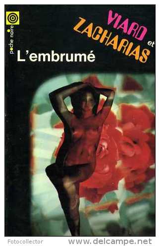 L'embrumé Par Viard Et Zacharias (poche Noire N° 161) - NRF Gallimard