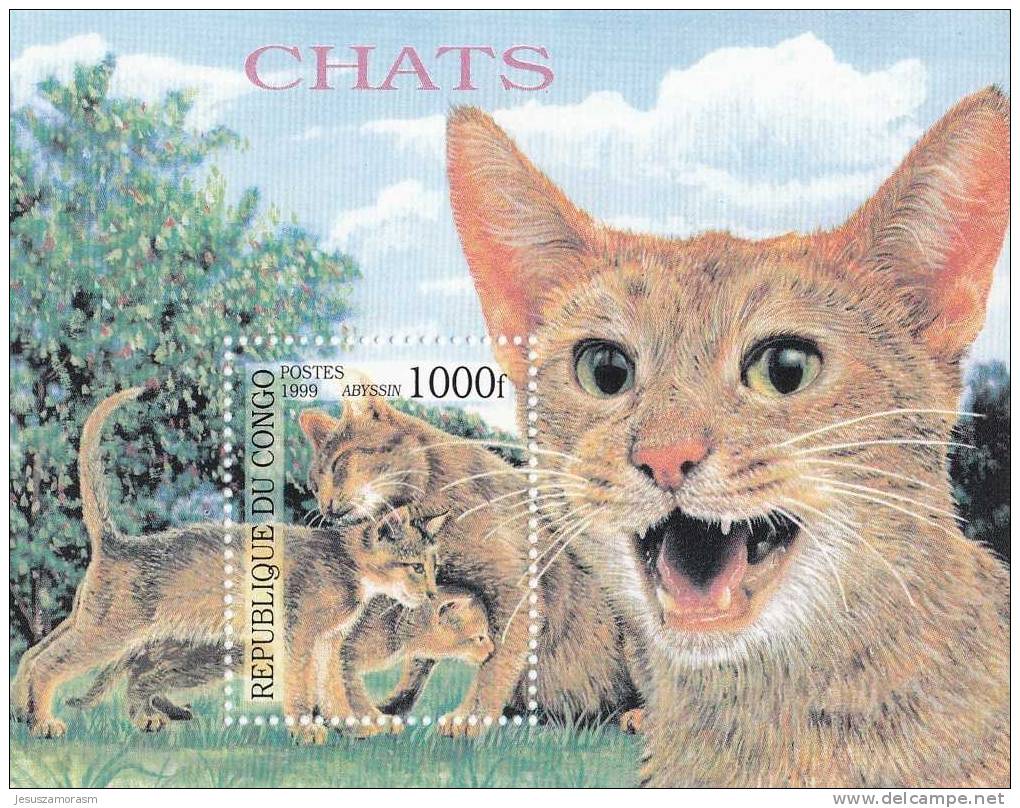 Congo Hb Gatos - Nuovi