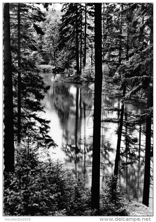 BG2397 Clausthal Zellerfeld Oberharz Unterer Kellerhalser  CPSM 14x9.5cm Germany - Clausthal-Zellerfeld