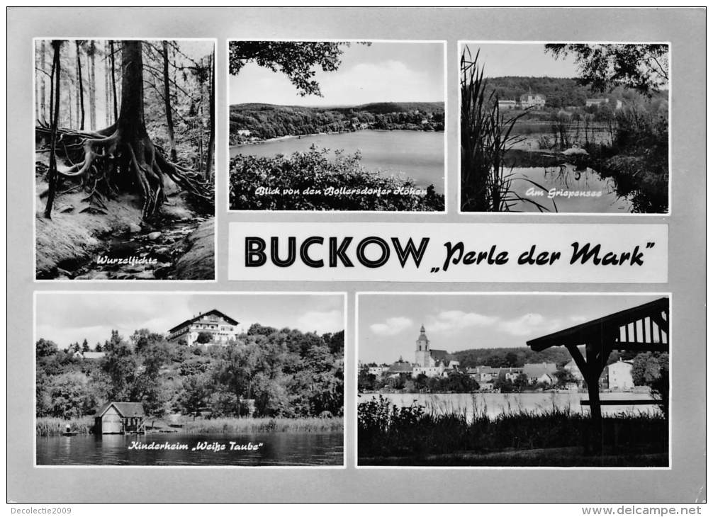 BG1456 Buckow Perle Der Mark   CPSM 14x9.5cm  Germany - Buckow