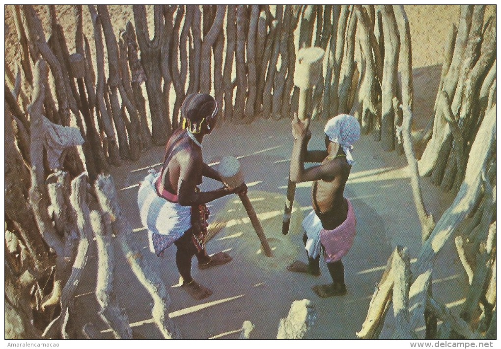 CARTE POSTALE-POSTCARD-POSTKART E-CARTOLINA POSTALE - ANGOLA - FEMME MUILA - Afrique