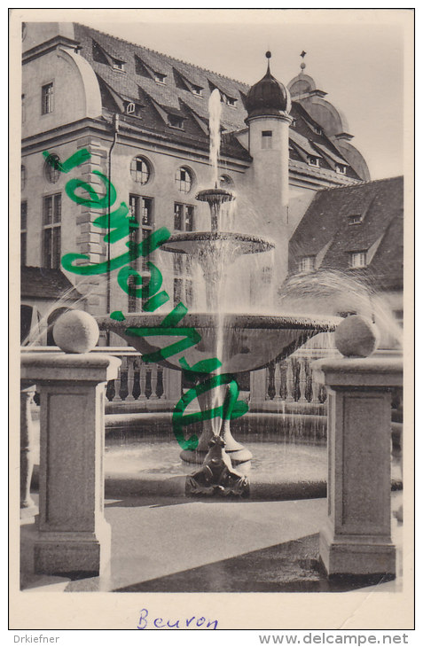 AK: Kloster Beuron, Brunnen Im Mariengarten, Um 1930 - Tuttlingen