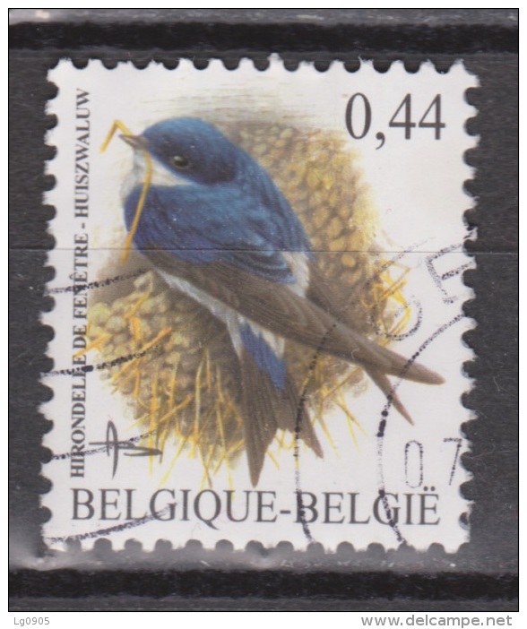 Belgie , Belgique, Belgium, Belgica Used ; Huis Zwaluw Swallow Hirondelle Golondrina NOW MANY BIRD STAMPS - Schwalben