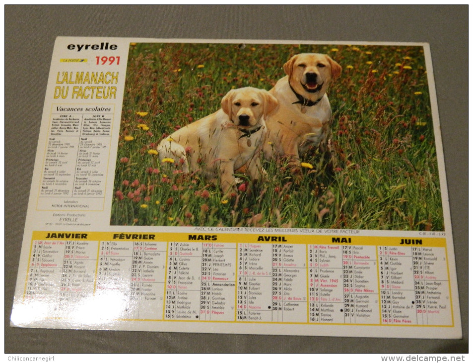 Calendrier 1991 - EYRELLE - PICTOR - Labradors - Terrier - Groot Formaat: 1991-00