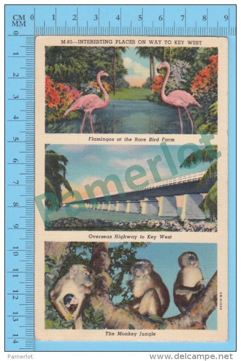 US Florida FL ( Interesting Places On Way To Key West Multi-view, CPSM Linen Postcard ) Recto/Verso - Key West & The Keys