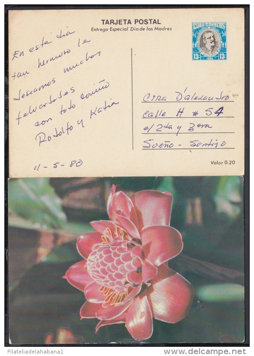 1980-EP-5 CUBA 1980. Ed.125f. MOTHER DAY SPECIAL DELIVERY. ENTERO POSTAL. POSTAL STATIONERY. ROSAS. ROSE. FLOWERS. FLORE - Neufs