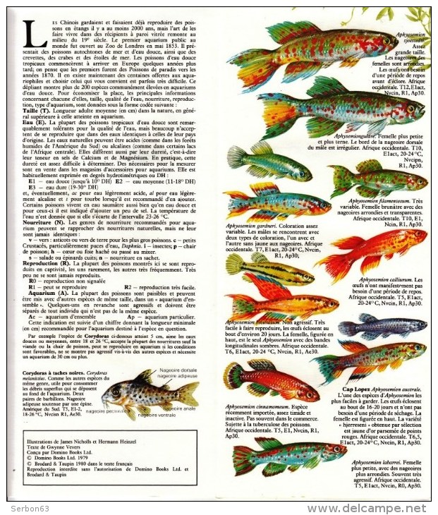 GUIDE COULEUR DOMINO GALLIA N°8 SOUS FORME DE CARTE ROUTIERE 24 PLANCHES 11cmX25cm POISSONS D'AQUARIUM EAU DOUCE NOURRIT - Schede Didattiche