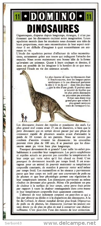 GUIDE DOMINO GALLIA N°11 EN COULEUR EN FORME DE CARTE ROUTIERE 24 PLANCHES 11cmX25cm DINOSAURES PREHISTORIQUE PROTOCERAT - Schede Didattiche