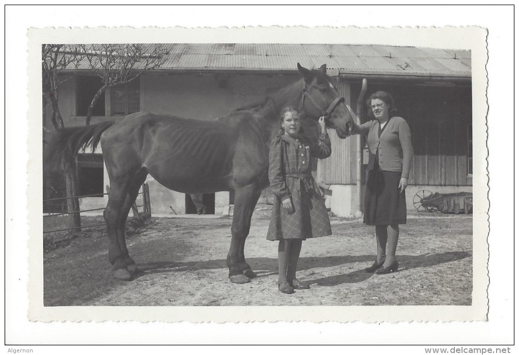 11560 -  Carte Photo à Situer Cheval Femme Et Jeune Fille  Photo Locatelli Le Pont - L'Abbaye