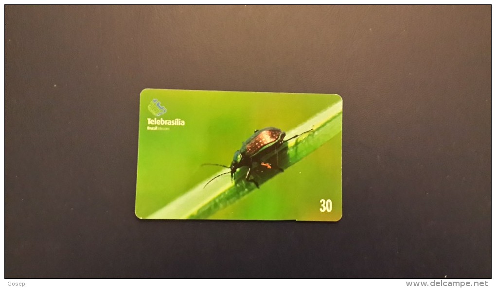 Brasil-besouro-(TELEBRASILIA)-tirage-150.000-used Card - Ladybugs