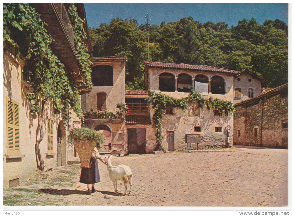 IL  TICINO  PITTORESCO     SESSA  (MALCANTONE)             (VIAGGIATA) - Sessa