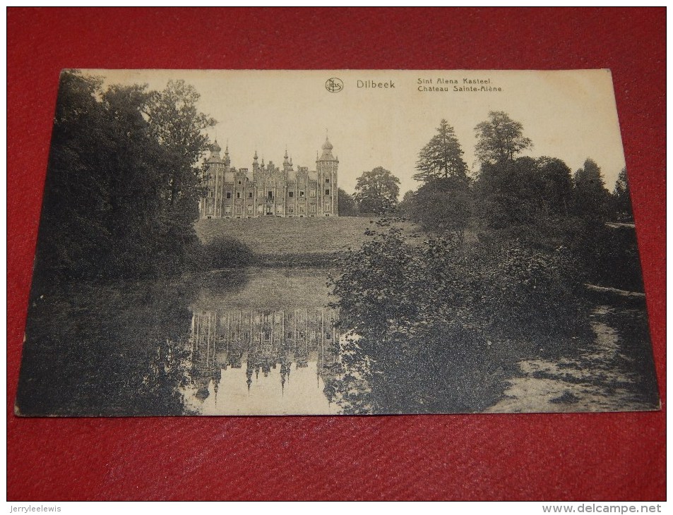 DILBEEK  -  Sint Alena Kasteel  -  Château Sainte Alène   -  1921   -  (2 Scans) - Dilbeek