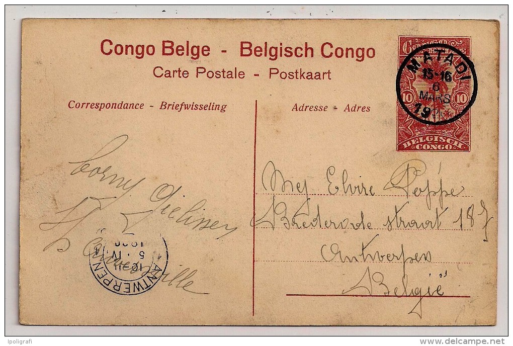 Congo Belge, Carte Postale, Plantation De Funtumia, 10 C., Matadi, 6-3-20 - Medicinal Plants