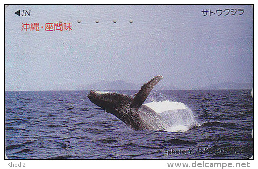 Télécarte Japon - ANIMAL - BALEINE - WHALE Japan Phonecard - WAL Telefonkarte - BALLENA - 299 - Delfines