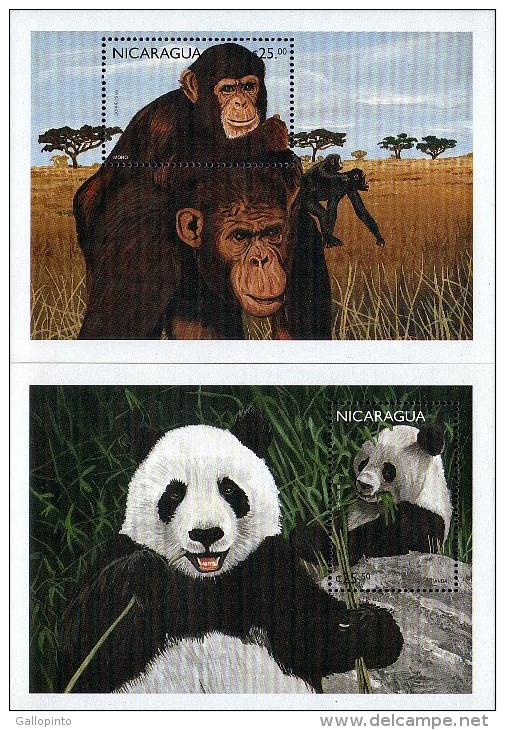 NICARAGUA CHIMPANZEE PANDA ENDANGERED Sc 2212-2213 MNH 1999 - Chimpanzees