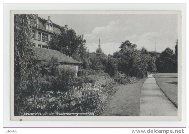 Eberswalde-An Der Weidendammpromenade - Eberswalde