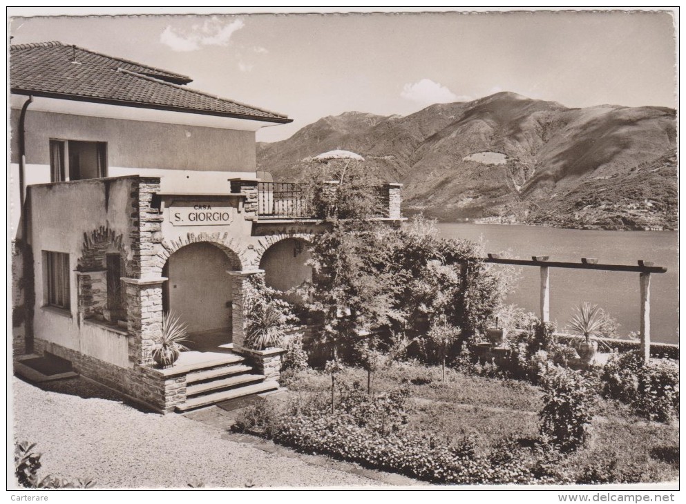 Suisse,ch,tessin,locarno,iles  BRISSAGO ,casa S Giorgio,NORD LAC MAJEUR,TICINO,TICIONO,JARDIN - Brissago