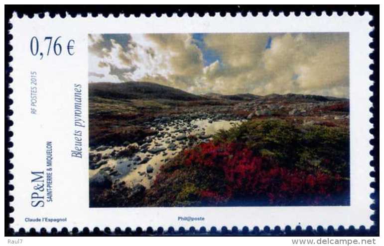 St Pierre Et Miquelon 2015 - Art, Tableaux, Bleuets Pyromanes  - 1 Val Neufs // Mnh - Unused Stamps
