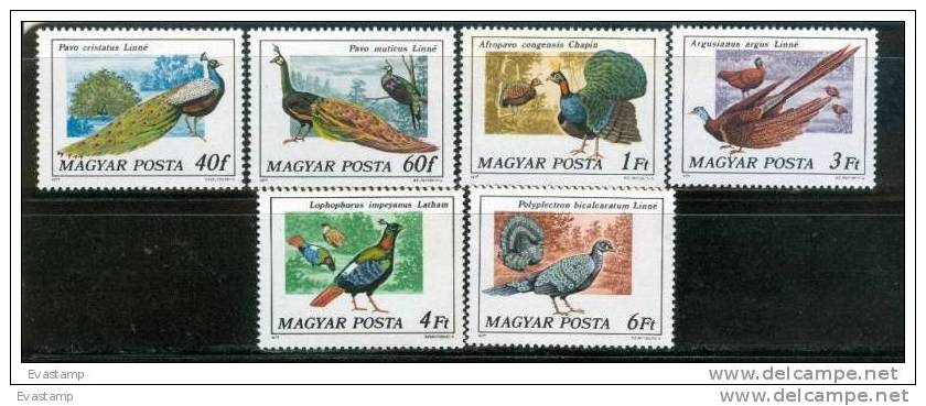 HUNGARY - 1977.Birds -Peacocks Cpl.Set MNH! - Paons