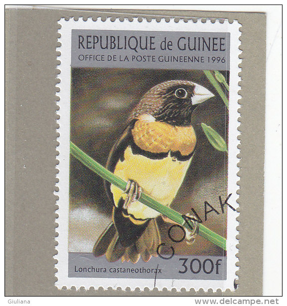 Rep. Guinea 1996  -  Yt  1077 Used  Uccelli - Sparrows