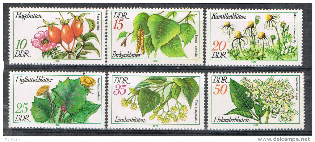 R 921. Serie Alemania DDR, Plantas Medicinales  1978, Num 1875-1880 ** - Medicinal Plants