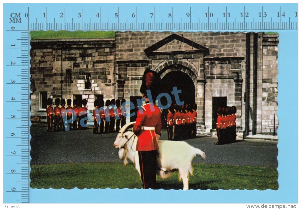 Quebec Quebec  ( Citadelle Royal 22eme Regiment, Changement De Garde  )recto/Verso - Québec - La Citadelle