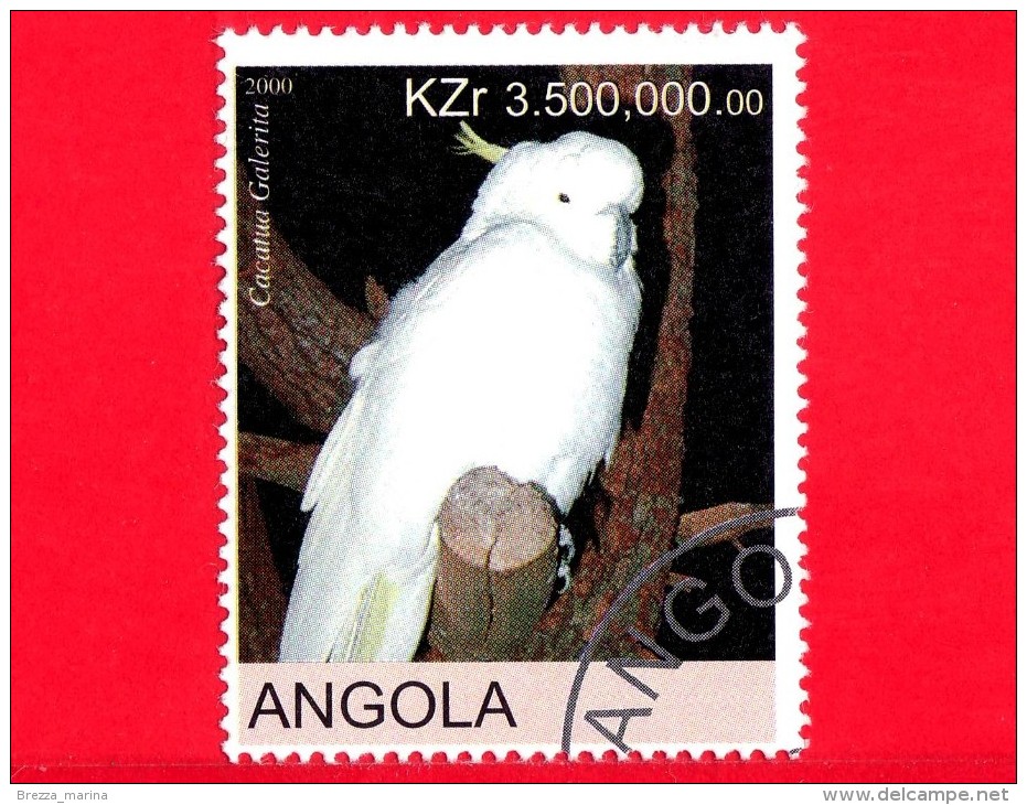 ANGOLA - Nuovo Oblit. - 2000 - Uccelli - Pappagalli - Parrot - Cacatua Galerita - 3500 - Angola