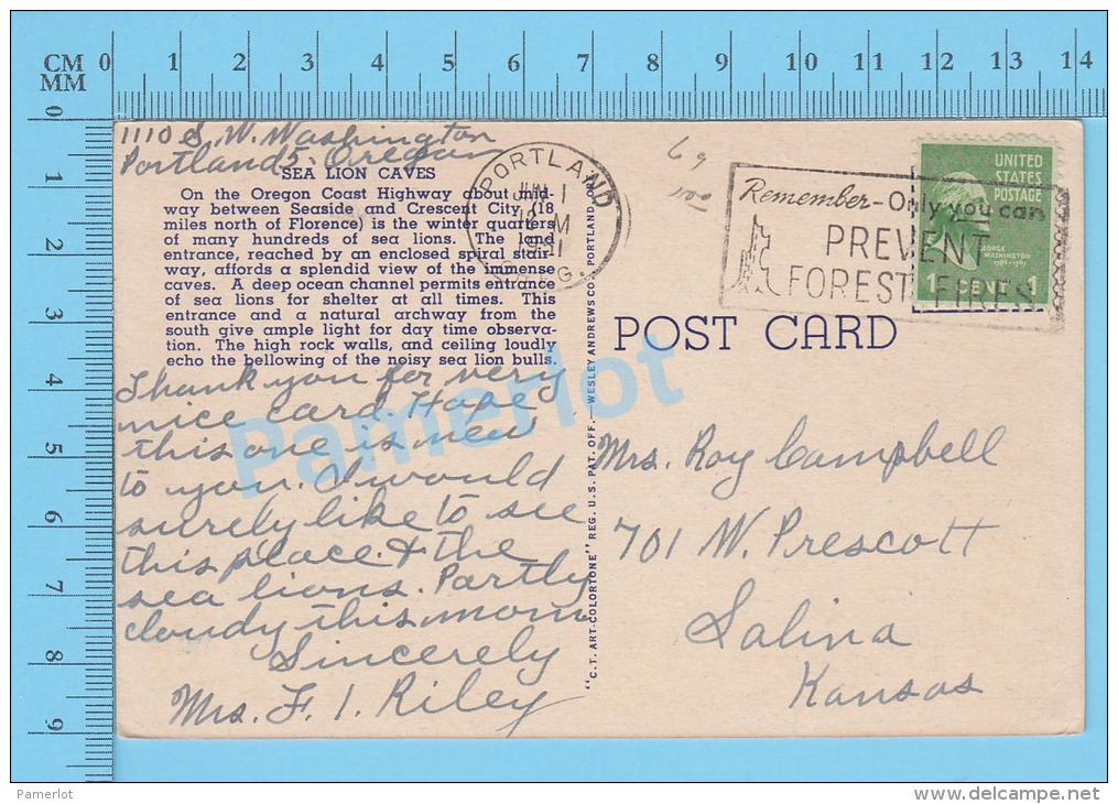 CPSM, Oregon ( Used In 1951 , Sea Lions Caves, Marcophilie ) Linen Postcard Recto/Verso - Otros & Sin Clasificación