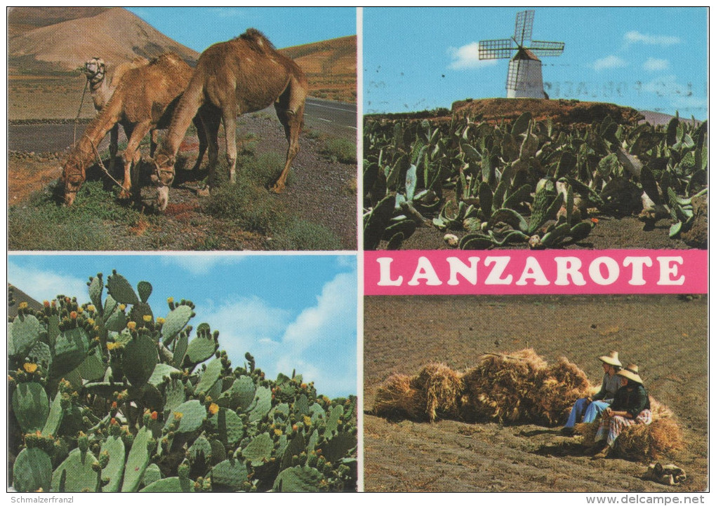 AK Isla De Lanzarote Escenas Typicas Molino De Viento Windmill Bei Fuerteventura Gran Canaria Islas Canarias Kanaren - Lanzarote