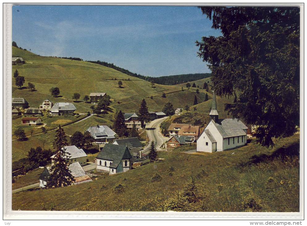 MUGGENBRUNN - TODTNAU,  Höhenluftkurort Im Schwarzwald - Todtnau