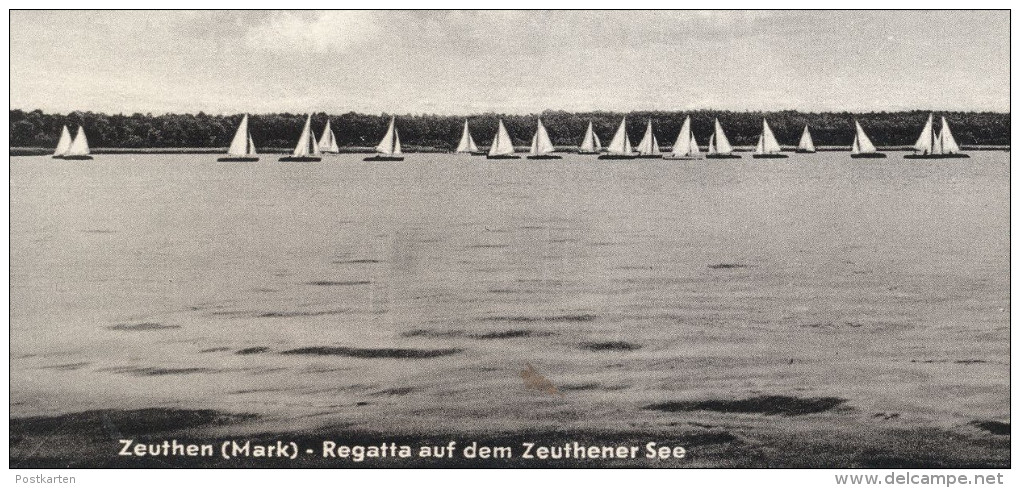 ALTE POSTKARTE ZEUTHEN MARK BRANDENBURG REGATTA AUF DEM ZEUTHENER SEE Régate Sailing Rennen Cpa Postcard Ansichtskarte - Zeuthen