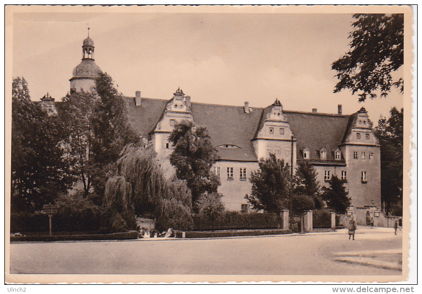 AK Wermsdorf (Sachsen) - Jagdschloss Und Kirche (12661) - Wermsdorf