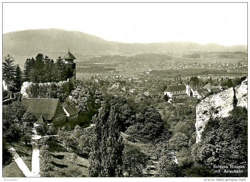 BL Bâle-Campagne. Birseck. Schloss Birseck Mit Arlesheim. - Arlesheim