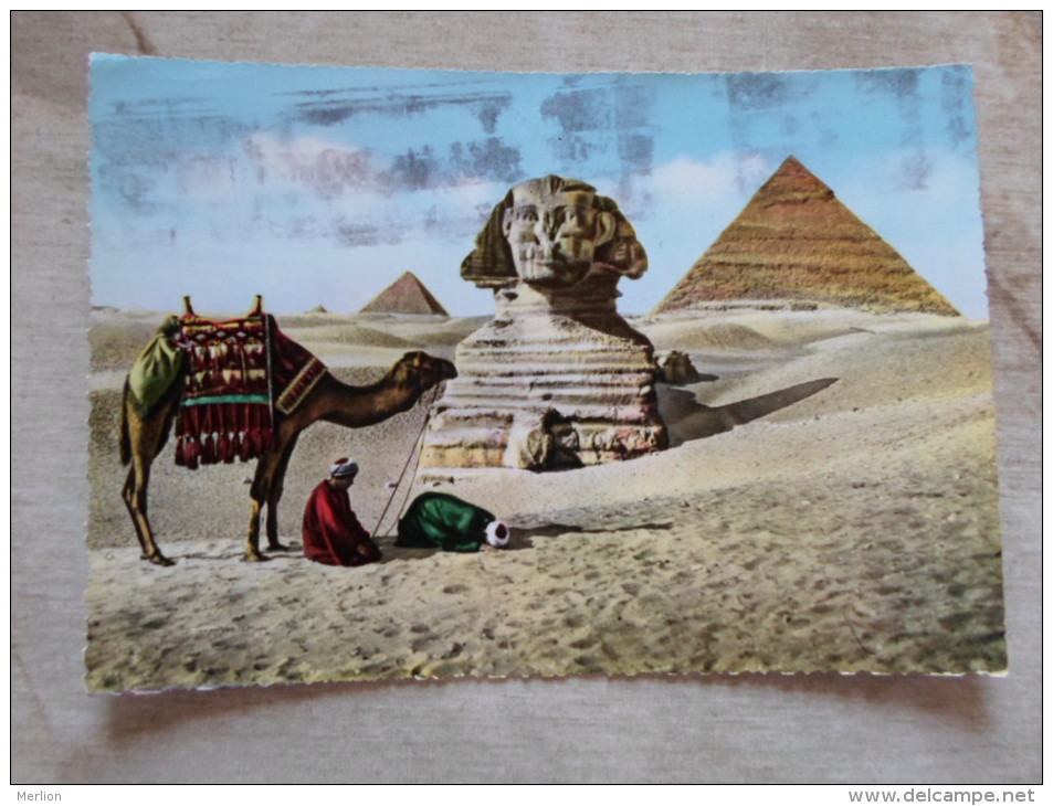 Egypt  -Gizeh -Giza - Sphinx   Pyramids - Camel Chameau - Muslim Prayers  Ca 1960  D128217 - Sphinx