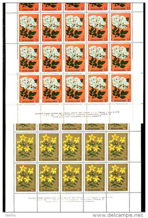 BULGARIA / BULGARIE - 1981 - Medicinals Plants - 6 Feuillets 4x5**MNH - Medicinal Plants