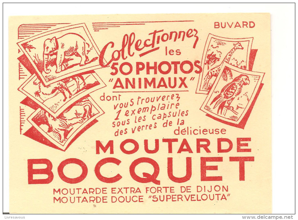 Buvard BOCQUET Moutarde BOCQUET Collectionnez Les 50 Photos D'animaux - Moutardes