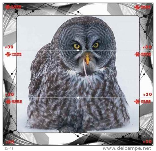 O03214 China phone cards Owl puzzle 60pcs