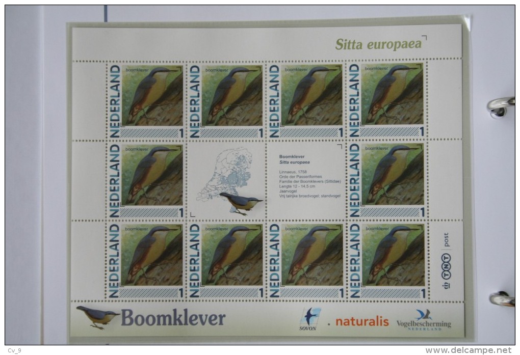 Persoonlijk Zegel Thema Birds Vogels Oiseaux Pájaro Sheet BOOMKLEVER  NUTHATCH 2011-2014 Nederland - Ongebruikt