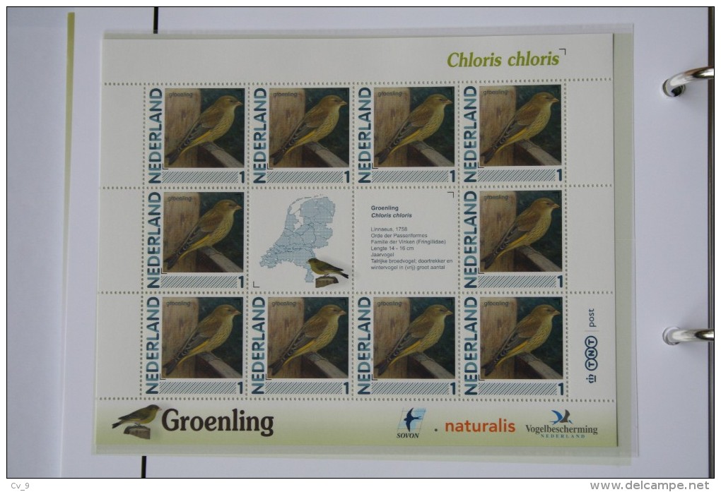 Persoonlijk Zegel Thema Birds Vogels Oiseaux Pájaro Sheet GROENLING GREENFINCH 2011-2014 Nederland - Ungebraucht