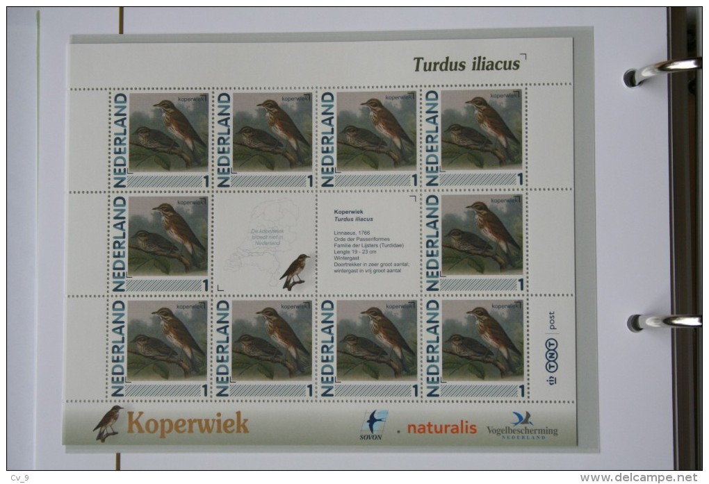 Persoonlijk Zegel Thema Birds Vogels Oiseaux Pájaro Sheet KOPERWIEK REDWING 2011-2014 Nederland - Ungebraucht