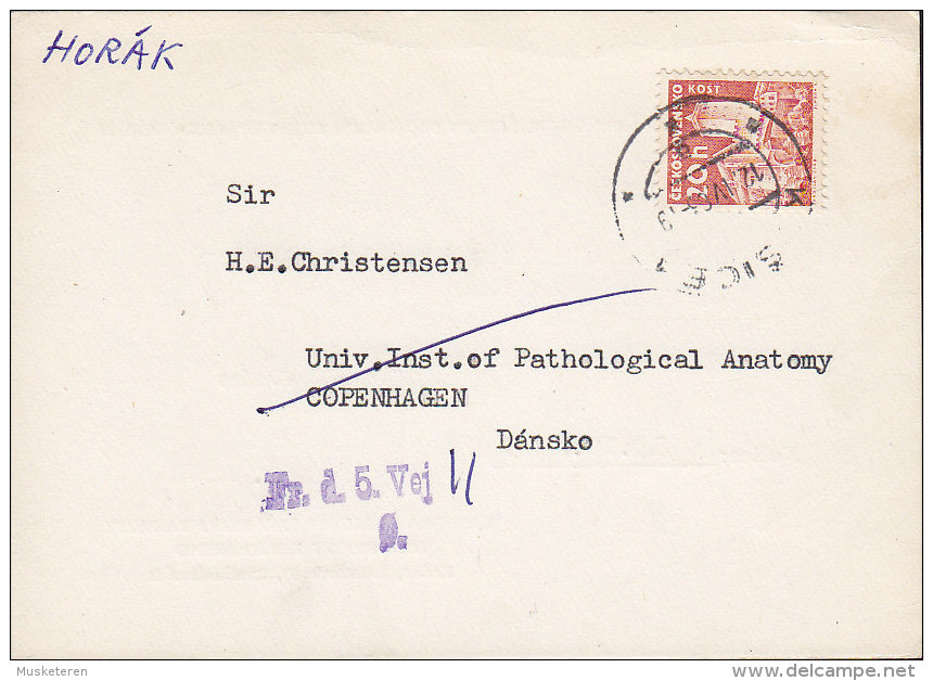 Czechoslovakia KATEDRA BIOLOGIE UNIVERZITY KOMENSKEHO, KOSICE 1963 Card Karte To Denmark (2 Scans) - Brieven En Documenten