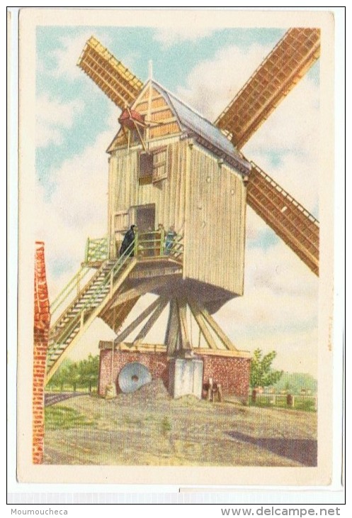 Chromo : Winghe Saint-georges - Moulin à Vent.. - Folklore Belge Côte D'or 2 E Série  - N° 180 (chocolat) - Tielt-Winge